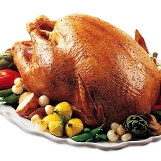 WhatTheSquash's profile picture. sharing our embarassing family moments with the world wide web