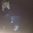 Julian_so - @OfwgktaJulian - Twitter