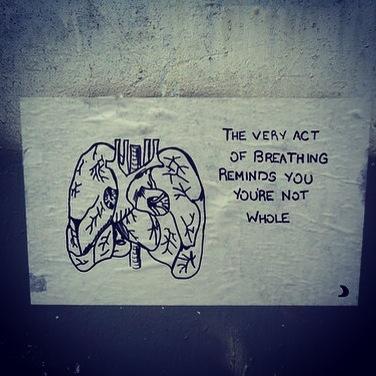 deadcatface's profile picture. anon account for sad shit I can't post on my main