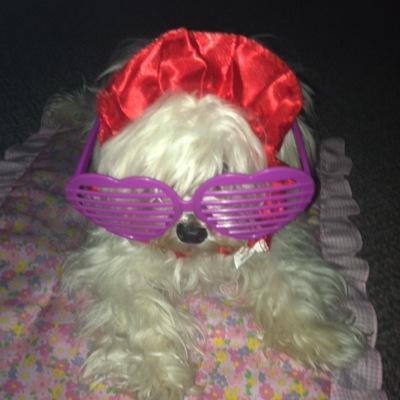 dream: become a actress and a singer my favorite show is every witch way follow me and I'll follow back