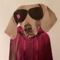 Jon Carter (@monkeymafiajc) 's Twitter Profile