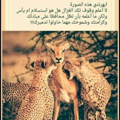 ZlOVfWFewiR5jyJ's profile picture. 