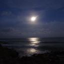 Gemma Castillo - @CastillosGemma - Twitter