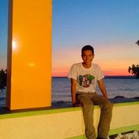 Dimaan (@dimanscout) 's Twitter Profile