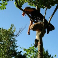 Davide Cirillo (@davide__cirillo) 's Twitter Profile