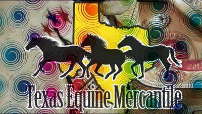 Affectionately referred to as Wise County's Best Kept Secret. We carry a wide array of products for all things horse! 
See our store in Boyd TX!