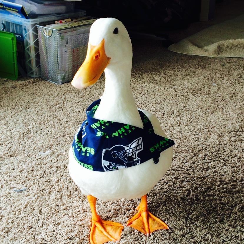 Jelly The Duck is a pet duck who lives in the Seattle home of Brandon and Thea. Jelly has become very popular around Seattle with her random appearances.