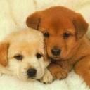 Leydi Cabrera - @leydimcabrera11 - Twitter