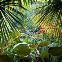 Fergus Garrett (@fergusgarrett) 's Twitter Profile