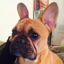 Fiona - @melissa_lukens - Twitter