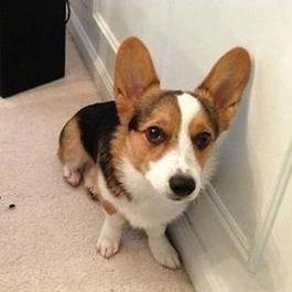 blog_camp's profile picture. 