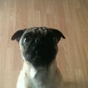 Bailey Lauzon - @baileyl695 - Twitter