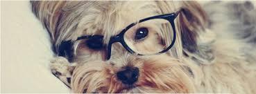 deliktaserap's profile picture. 