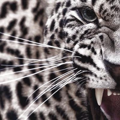 Honeyaimee's profile picture. 