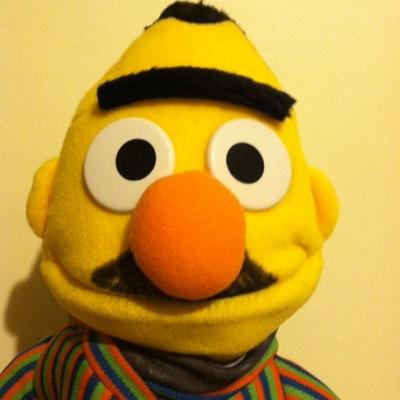 ErtBernie's profile picture. Former Biology Teacher and Chemist. Janitor at C'on Global.