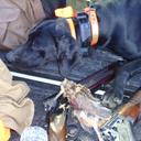 Todd Parsons - @tcp10207 - Twitter