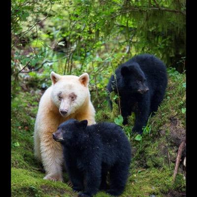 Jrlavoie's profile picture. 