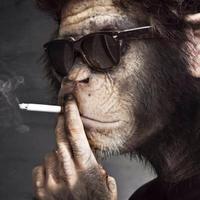 Hekk Mekk (@hekktisch) 's Twitter Profile Photo