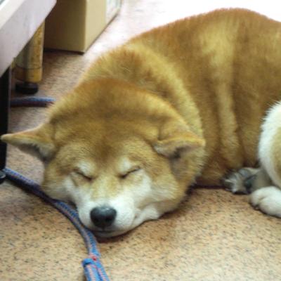 マツノスケ در توییتر 三島由紀夫の光と影 の92 辞世の句は 益荒男が たばさむ太刀の 鞘鳴りに 幾とせ耐へて 今日の初霜 散るをいとふ 世にも人にも 先駆けて 散るこそ花と 吹く小夜嵐 Http T Co Ekbnvxs1