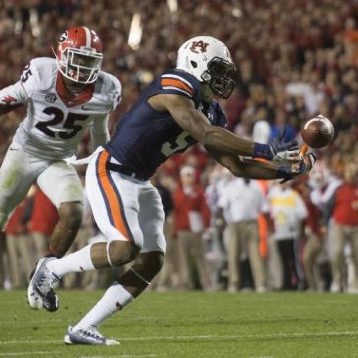 piggidyphish's profile picture. If more of us valued food and cheer and song above horded gold, it would be a merrier world.