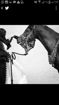 hu__8h's profile picture. رائدة المسؤولية المجتمعية ..قائدة  مجموعة دايموند السعوديه منطقة ( الرياض) سابقا  ..ام لإبن ذوي الاعاقه..هدفنا ..نسعى للوصول لمجتمع تطوعي مليوني..