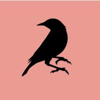 Blackbird Doughnuts (@bbdoughnuts) 's Twitter Profile