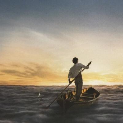 percieving in the endless river