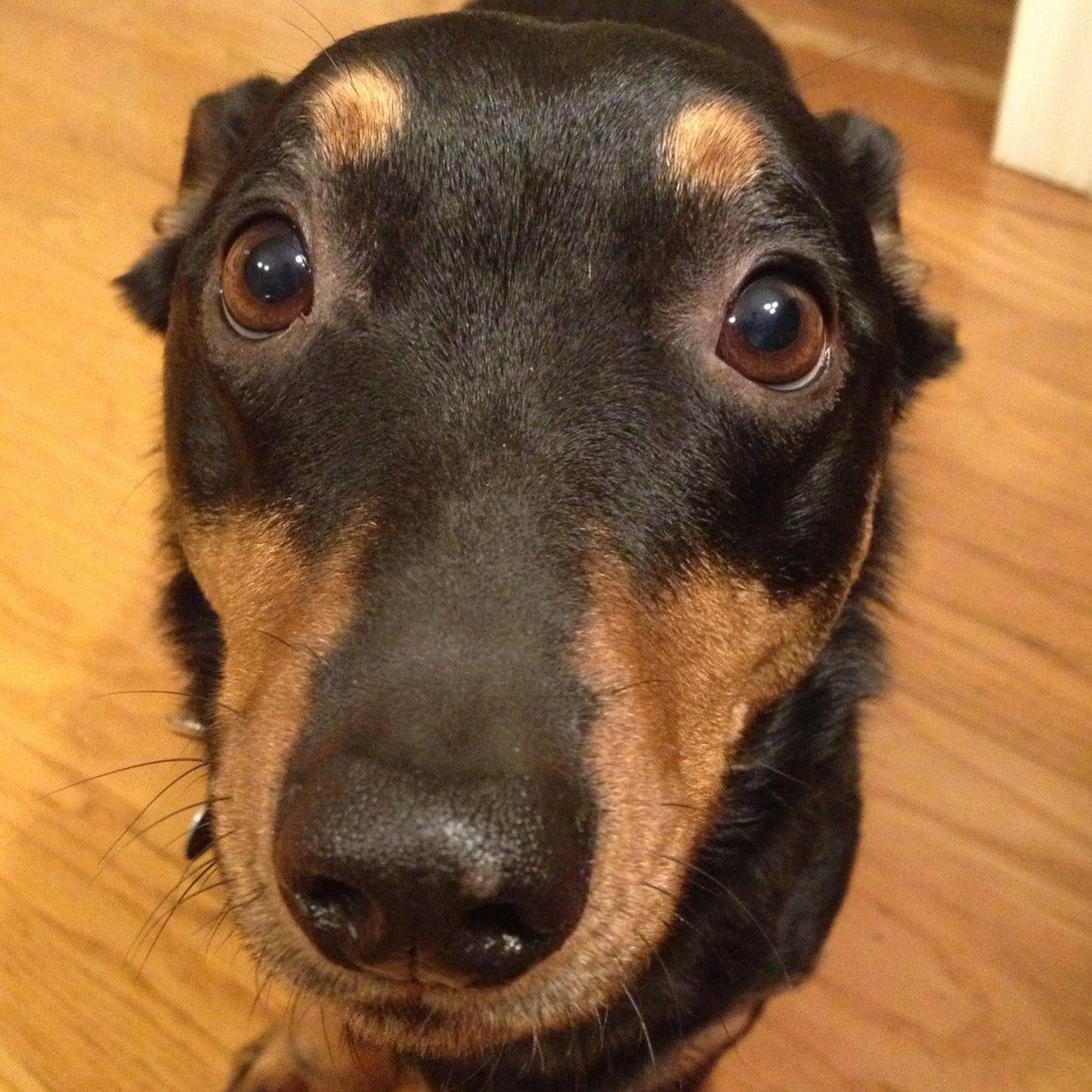 SirRooch's profile picture. Observations on #politics, #popculture & the absurdity of postmodern life from a secret listening outpost in the #Philadelphia #suburbs. Views are MY OWN!