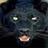 riahydmoati1984's profile image