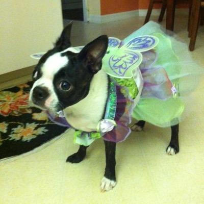 ChristaCostello's profile picture. 