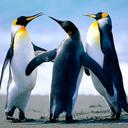 Gerson (@13Piojin) Twitter