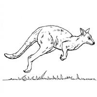 Bruce Smith (@brucesmithaus) 's Twitter Profile