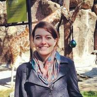 Kate Tummarello (@ktummarello) 's Twitter Profile