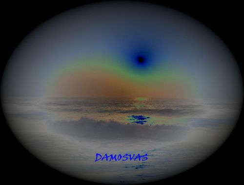 damonjon's profile picture. music exercise travel food/wine word management nightlife