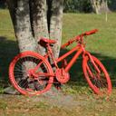 Barbara Lackey - @uptownmkt - Twitter