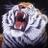 laprahales1984's profile image