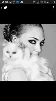 36046ecdf7a44c5's profile picture. 