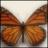 mostsibunva1978's profile image
