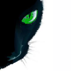 WhackMagnet's profile picture. Call me @Shoq. The whacks do. I created this account so they can scream at me.. quietly.