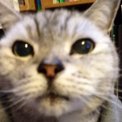 すべてにまる⭕️  受け入れてから考える 好きな事を得意になる努力 自分らしさを大切に🌱