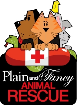 Help Us Help Them!  Rescuing homeless and unloved animals, and finding them new forever homes.  Also low cost spay/neuter clinics.  We need your help!