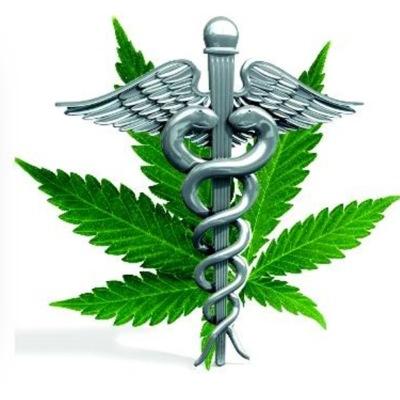 HPRC2005's profile picture. Herbal Pain Relief Center is a legal Pre ICO Collective in compliance with Proposition D, Proposition 215, and Senate Bill 420. HPRC2005@gmail (818) 639-6027