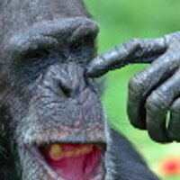 John Chawner (@jchawner) 's Twitter Profile Photo