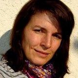 Kezdő, Weboldal tartalom fejlesztő