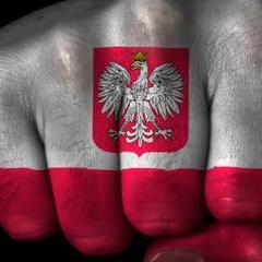 whesphallen's profile picture. 