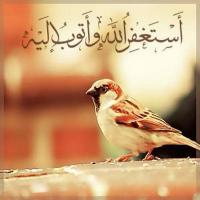 استغفر الله (@m3na_kuw) Twitter profile photo