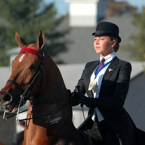 Saddleseat rider for 18 years. Lover of all things equestrian, avid reader, aspiring chef.