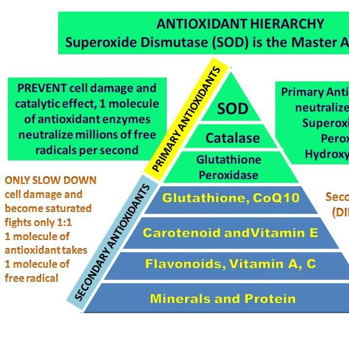Making your own body's antioxidants are millions of times more powerful than taking antioxidant supplements. Learn more: http://t.co/LA7HJNJGwC