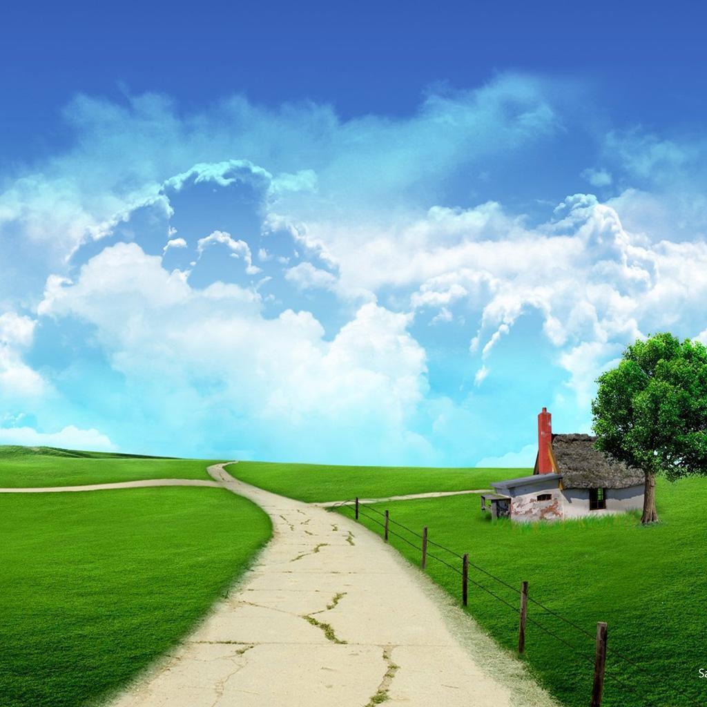 Navaid969's profile picture. 