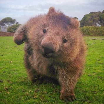 igor197855's profile picture. 